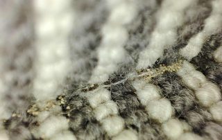Why do moths eat clothes
